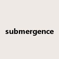 submergence是什么意思