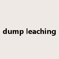 dump leaching是什么意思