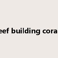 reef building corals是什么意思