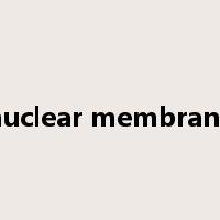 nuclear membrane是什么意思
