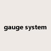 gauge system是什么意思