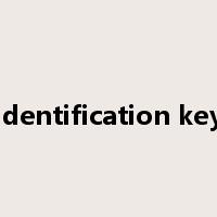 identification key是什么意思