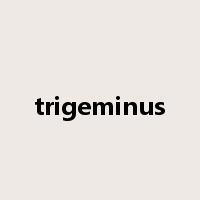 trigeminus是什么意思
