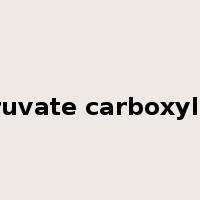 Pyruvate carboxylase是什么意思