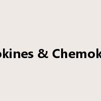 Cytokines & Chemokines是什么意思