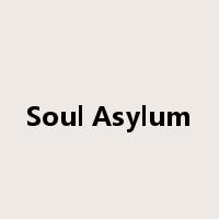 Soul Asylum是什么意思