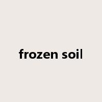 frozen soil是什么意思