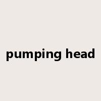 pumping head是什么意思