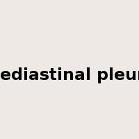 mediastinal pleura是什么意思
