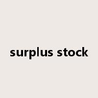 surplus stock是什么意思