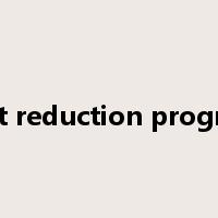 cost reduction program是什么意思