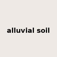 alluvial soil是什么意思