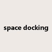 space docking是什么意思