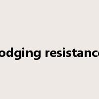 lodging resistance是什么意思