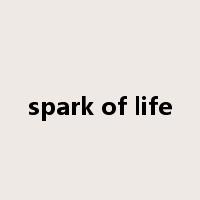 spark of life是什么意思