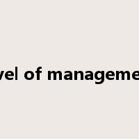 level of management是什么意思
