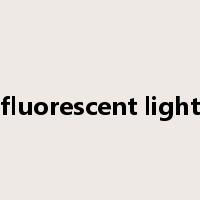fluorescent light是什么意思