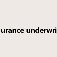 insurance underwriter是什么意思