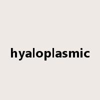 hyaloplasmic是什么意思