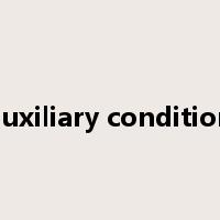 auxiliary condition是什么意思