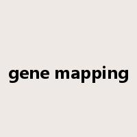 gene mapping是什么意思