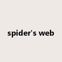 spider's web是什么意思