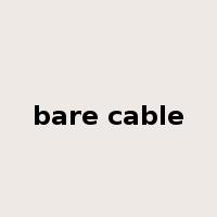 bare cable是什么意思