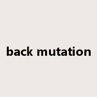 back mutation是什么意思