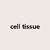 cell tissue是什么意思