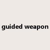 guided weapon是什么意思