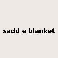 saddle blanket是什么意思