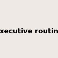 executive routine是什么意思