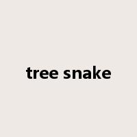 tree snake是什么意思