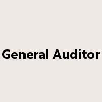 General Auditor是什么意思