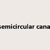 semicircular canal是什么意思