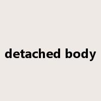 detached body是什么意思