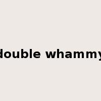 double whammy是什么意思