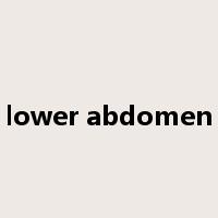 lower abdomen是什么意思