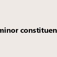 minor constituent是什么意思