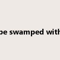 be swamped with是什么意思