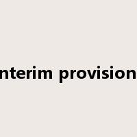 interim provisions是什么意思