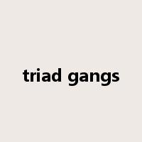 triad gangs是什么意思