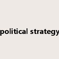 political strategy是什么意思
