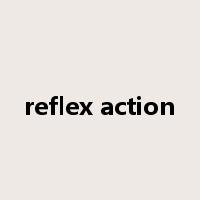 reflex action是什么意思