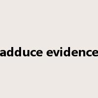 adduce evidence是什么意思