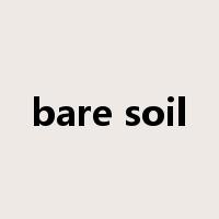 bare soil是什么意思