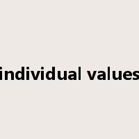 individual values是什么意思