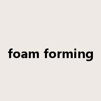 foam forming是什么意思