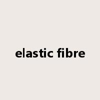 elastic fibre是什么意思