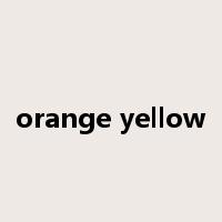 orange yellow是什么意思